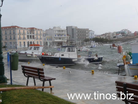 thalassa 135
